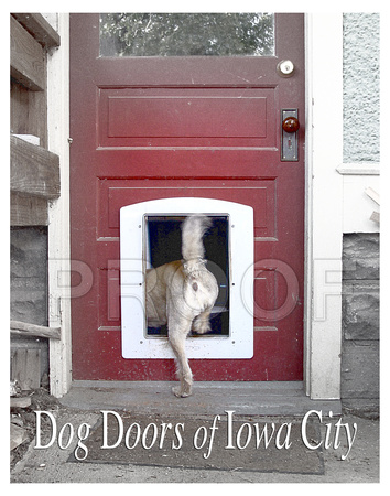 Dog Doors of Iowa City