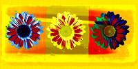 SunflowersX3